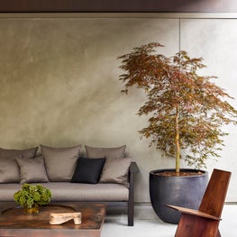 Lake Washington - Courtyard