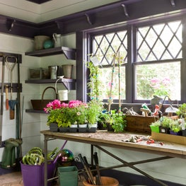 Dutch Colonial Residence