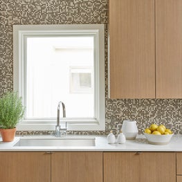 A Clean and Modern Kitchen Design in Bucktown, Chicago