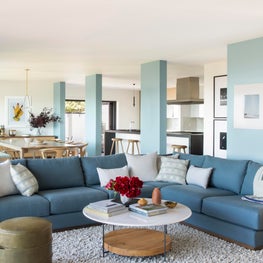 Oakland Contemporary Living Room