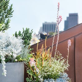 Beacon Hill, Boston, Massachusetts 