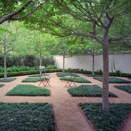 Hornbeam Bosque, Knollwood Residence, Houston, Texas