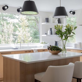 Brookline, Massachusetts Kitchen