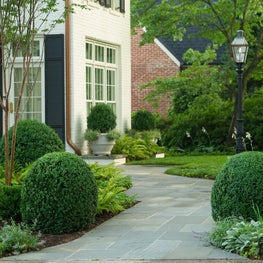 Atlanta - Entry Garden 