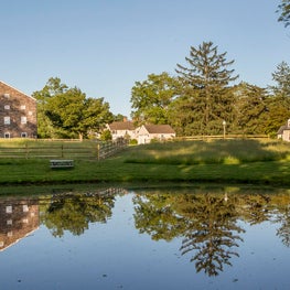 Tusculum Estate Pond