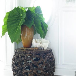 Hampton Designer Showhouse 2007 Entry Foyer