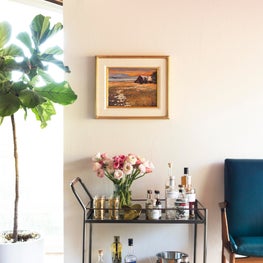 San Francisco MCM Remodel