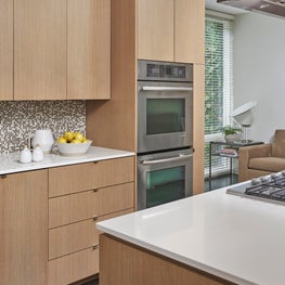 A Clean and Modern Kitchen Design in Bucktown, Chicago