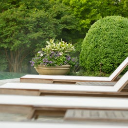 Paces Ferry - Poolside 