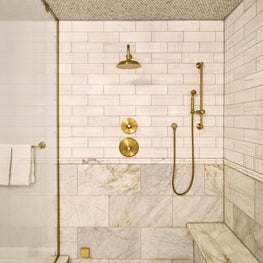 River Oaks Primary Bathroom