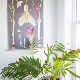 Bohemian Beach House. Accessories: Vintage Hanging Poster + Plant. 