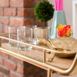 Portfolio: Fort Green