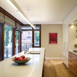 Lake Shore Single Family: Natural modernism for a home on the park