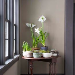 Historic Renovation, Salisbury, CT