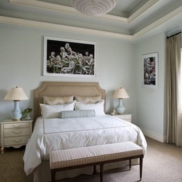 Highlands Ranch Guest Bedroom
