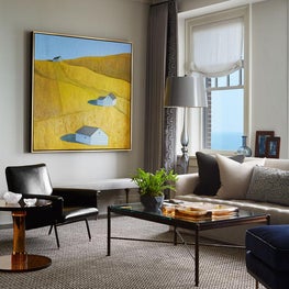 Lake Shore Drive Apartment