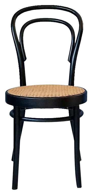 Bentwood No. 14 Chair from ZMG Radomsko, 1970s | Chairish