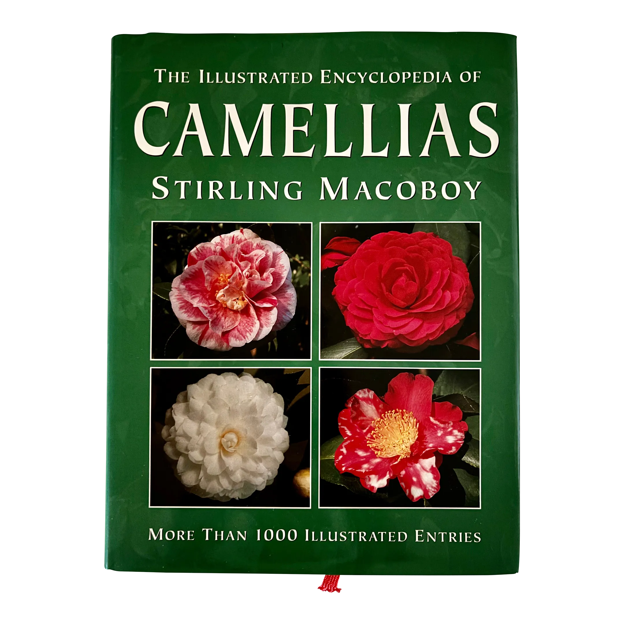 1990s Sterling Macaboy\