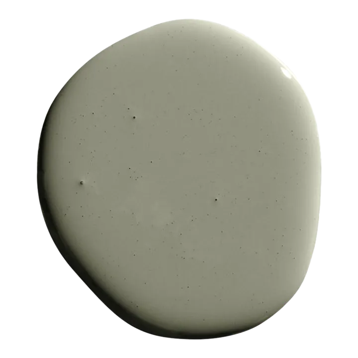 BACKDROP Adhesive Sample Swatch in Saged (Muted Olive Green) Chairish