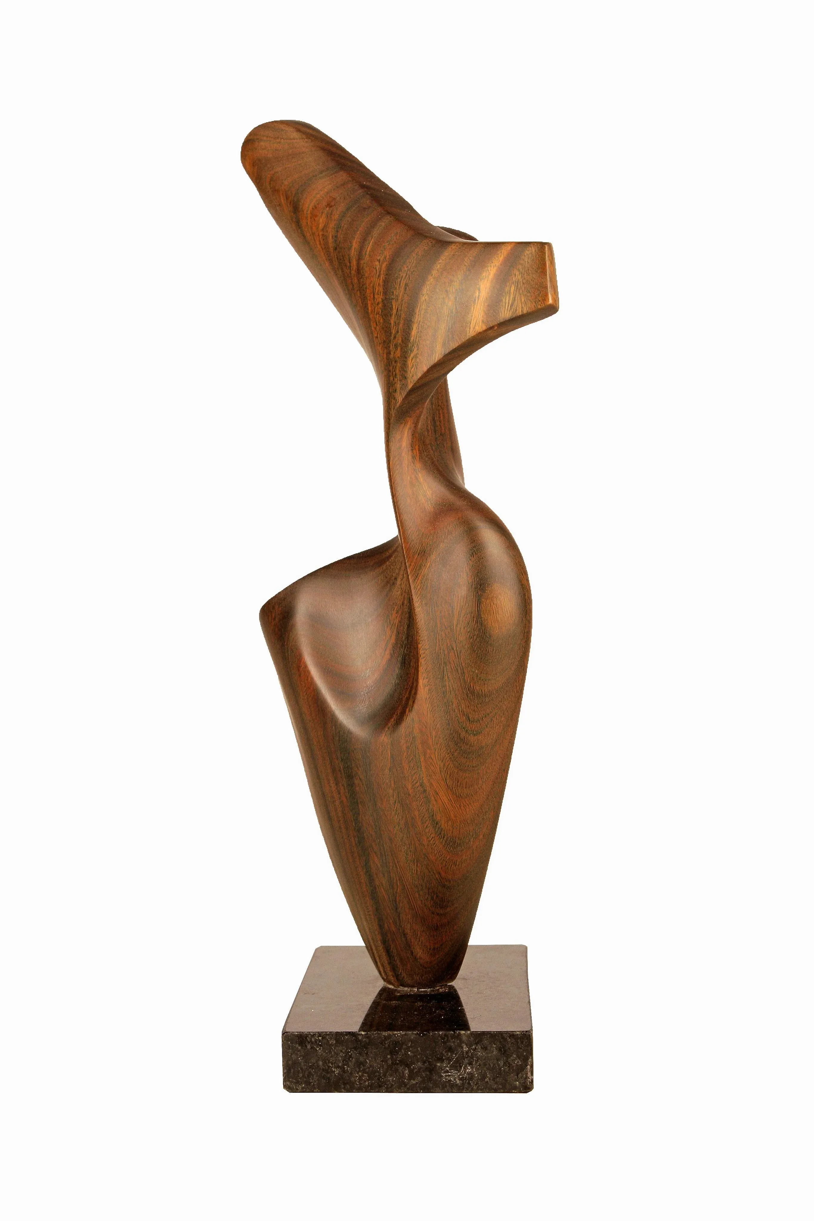 2012 Argentine Biomorphic Wood Abstract Sculpture With Black