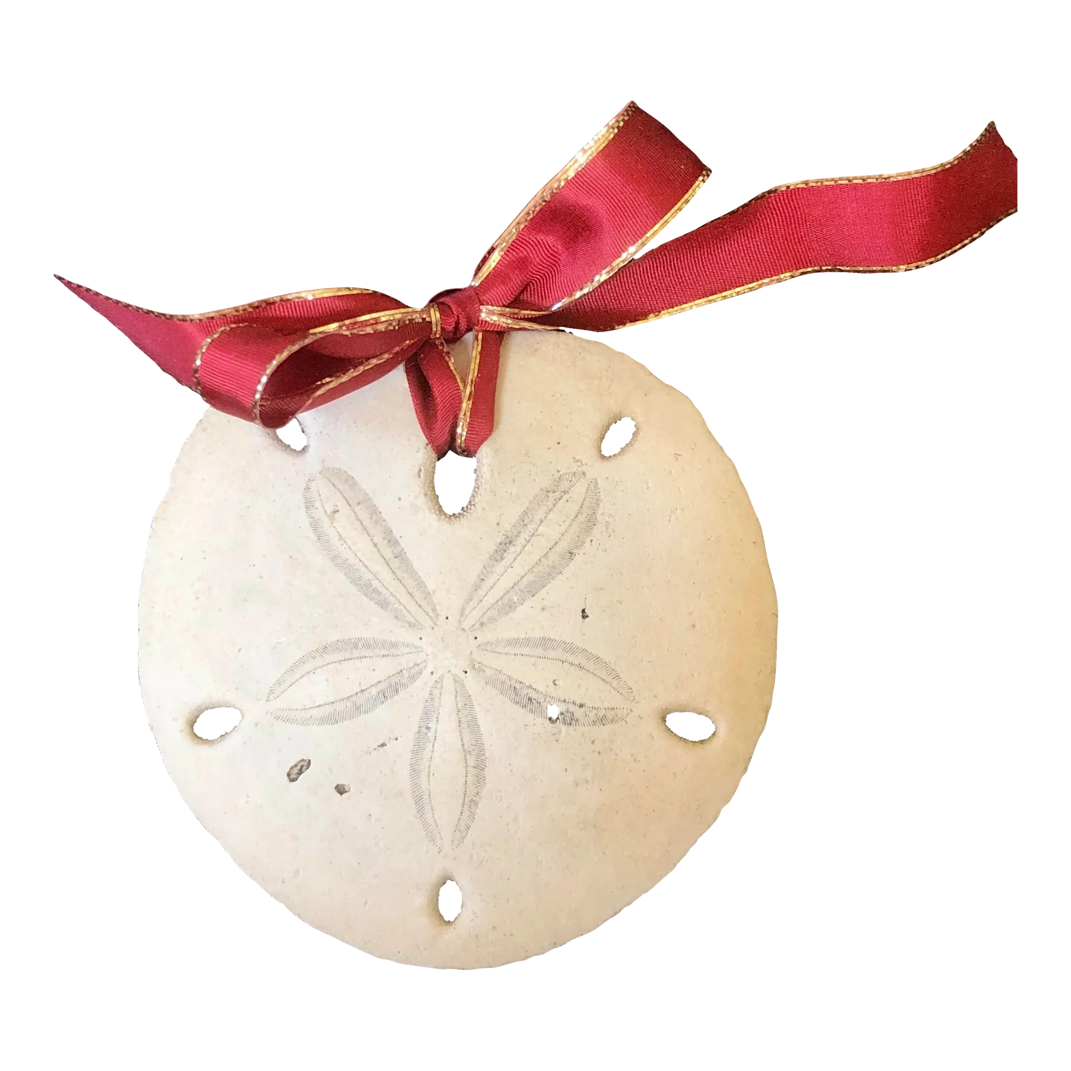 Sand Dollar Ornament | Chairish