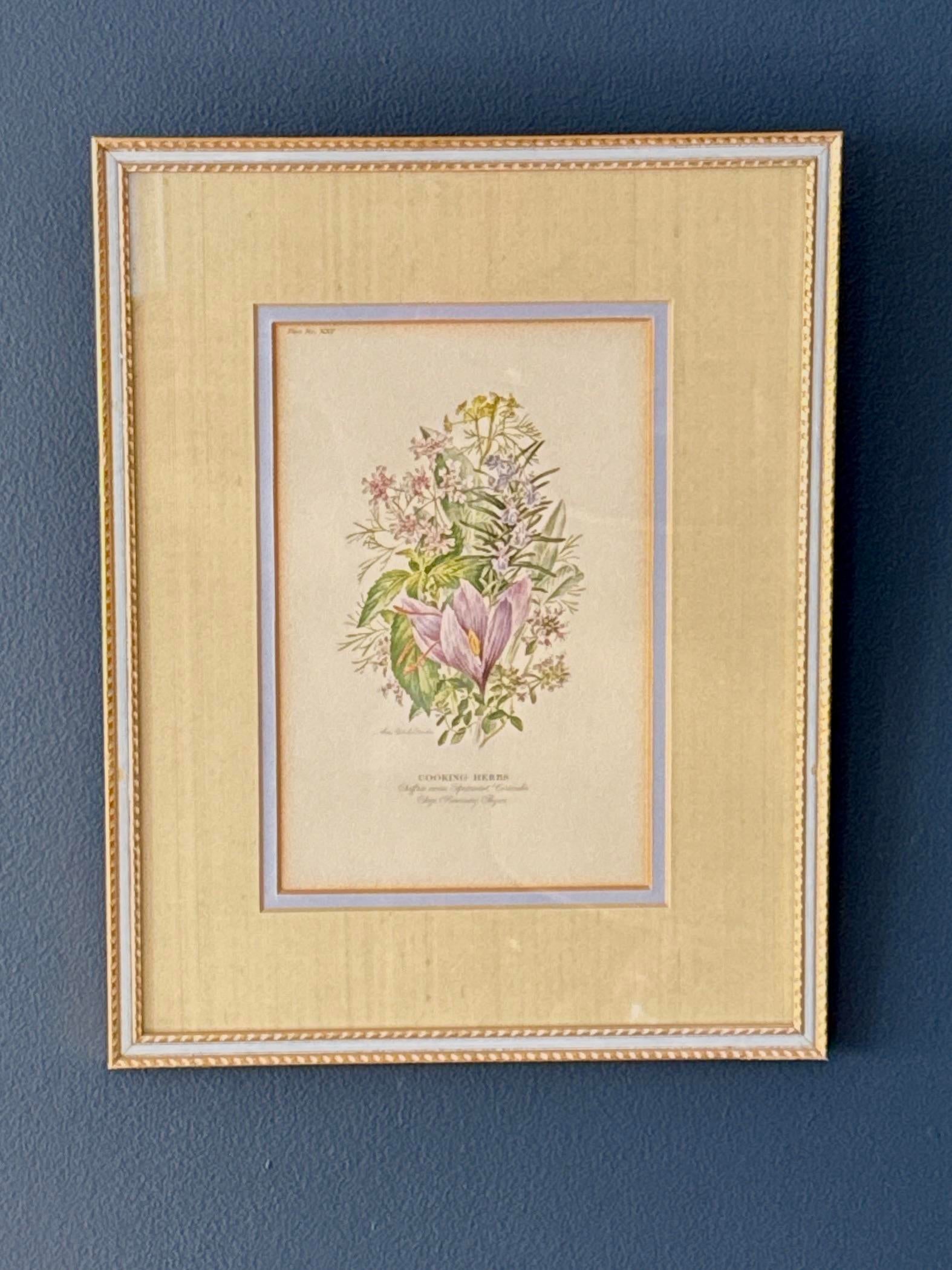 Vintage Botanical Print by Anne Ophelia Dowden
