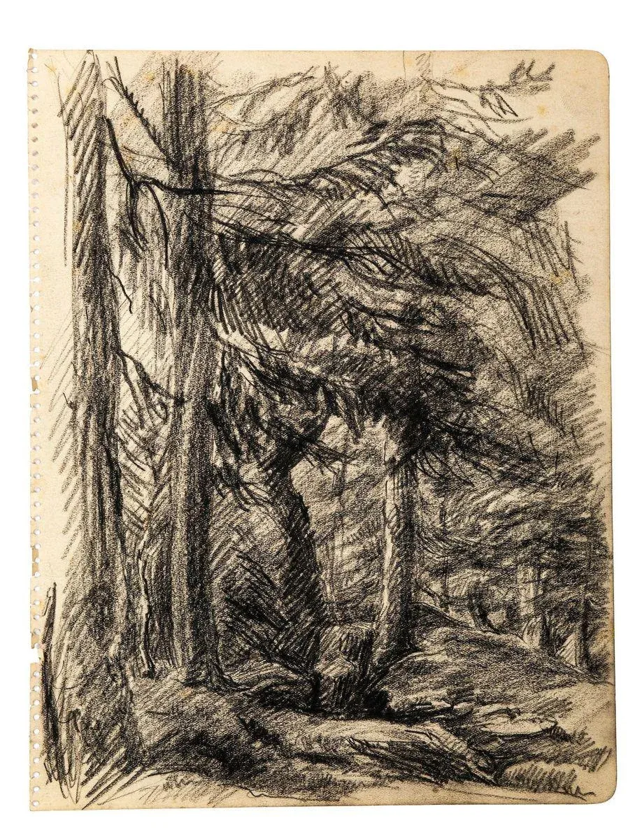 Wood - Original Charcoal Drawing by Jean Chapin - Early 1900 Early 1900