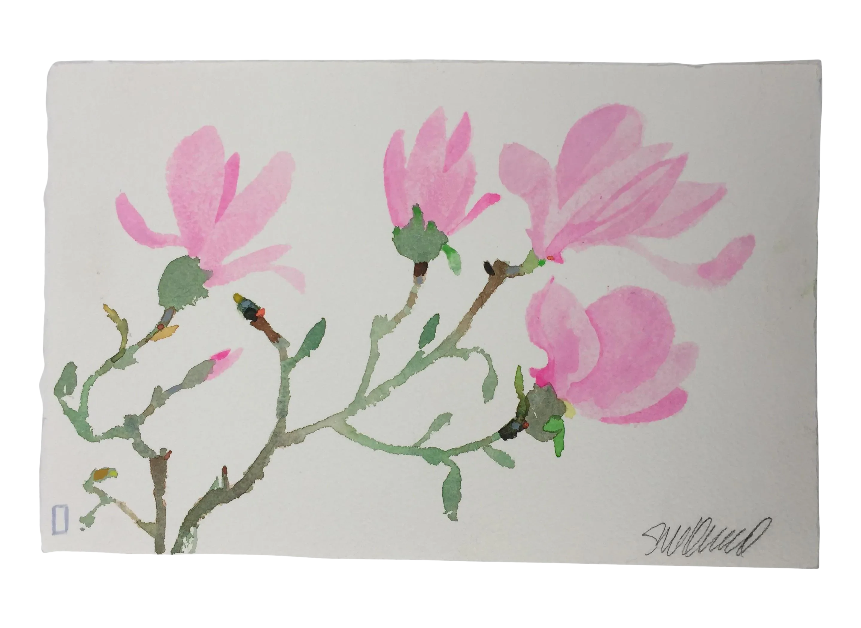 How To Paint The Magnolia Flower Watercolor Painting Part 2 Best