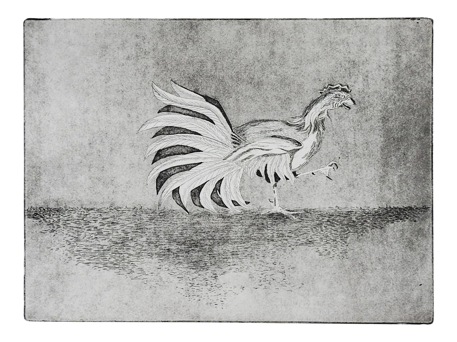 Fighting Rooster Outline