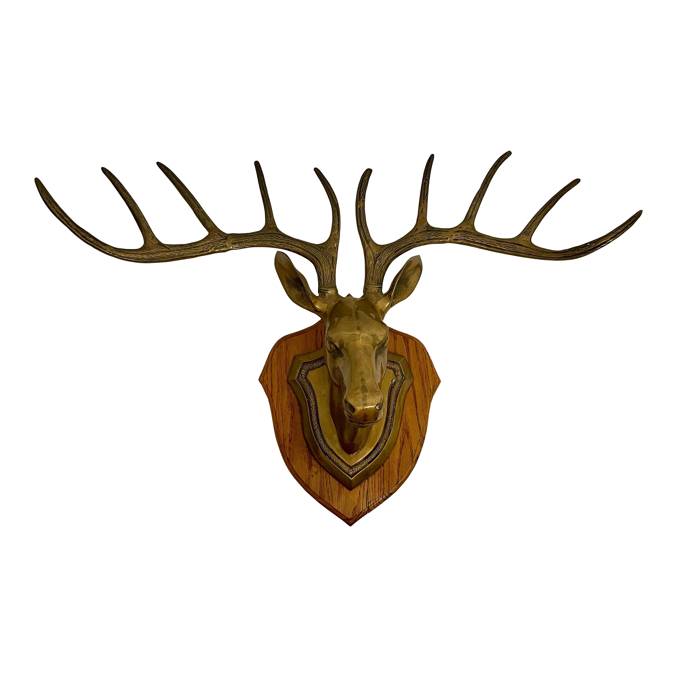 Mid 20th Century Solid Brass Ten Point Vegan Taxidermy Deer Mount