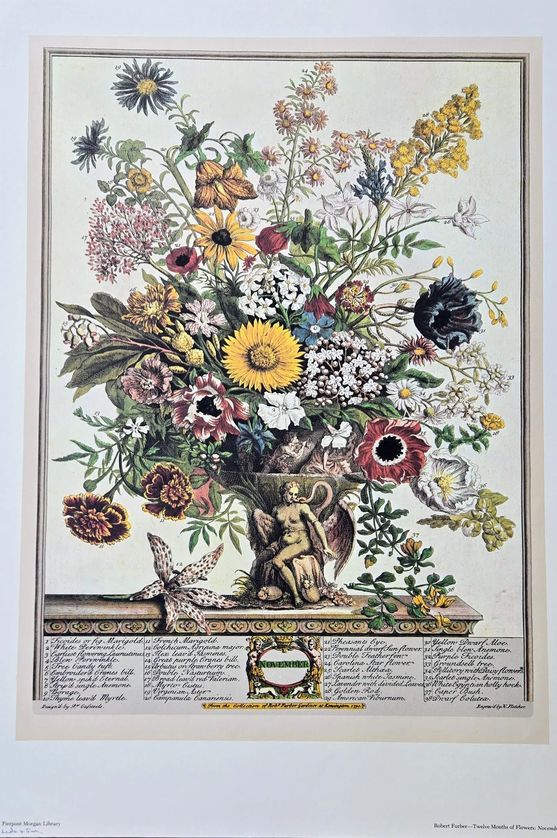1980s Vintage Robert Furber November Botanical From 