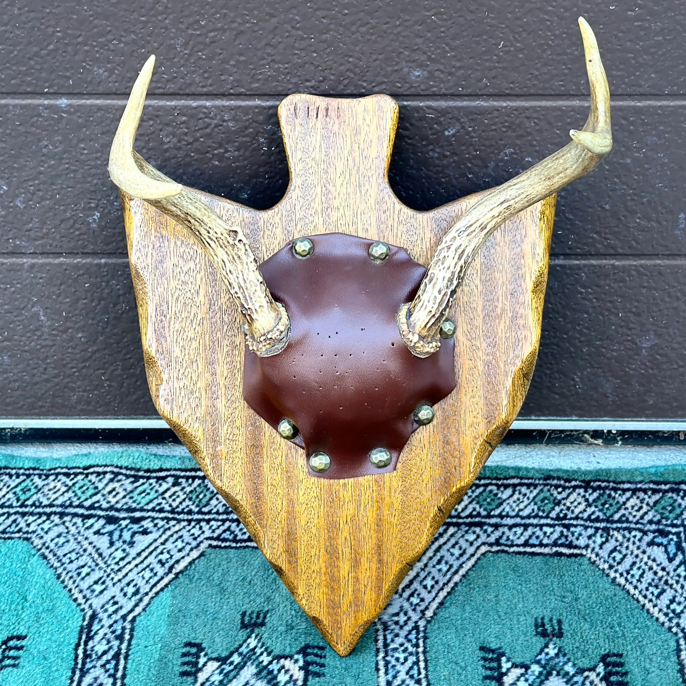 Vintage Deer Antlers Bowhunting Trophy Mounted on Arrow Shaped Carved Mahogany Wood1964 Citadel of Cairo Egypt Architectural Photograph