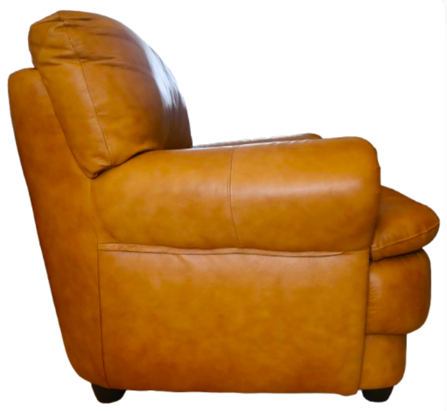 Chateau d\'Ax Italian Leather Armchair