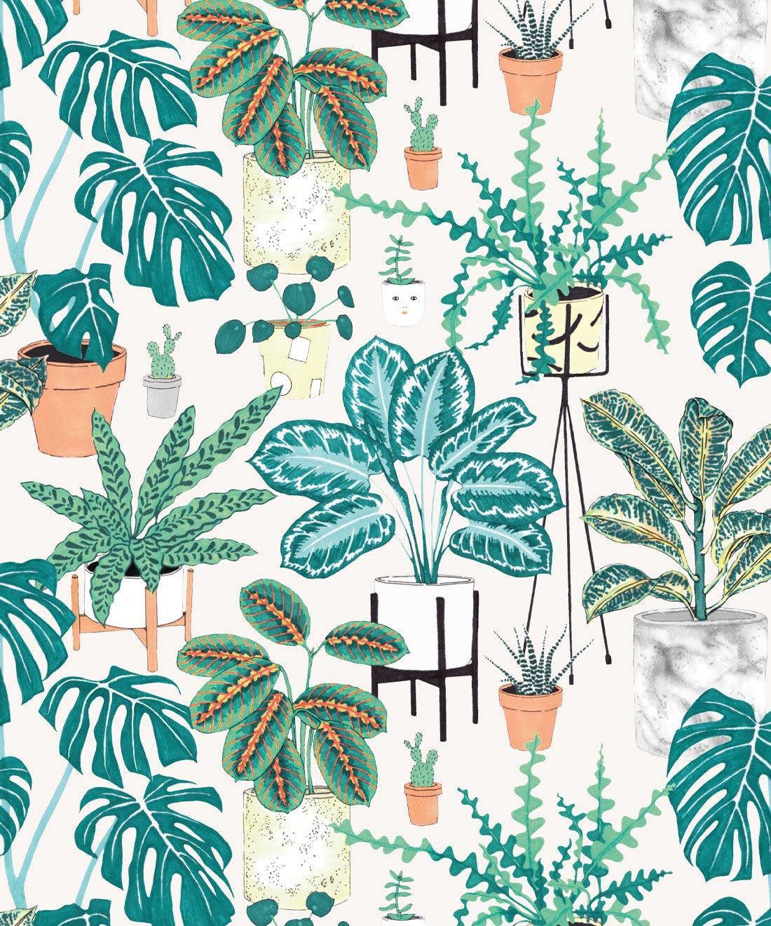 House Plants Wallpaper | Chairish