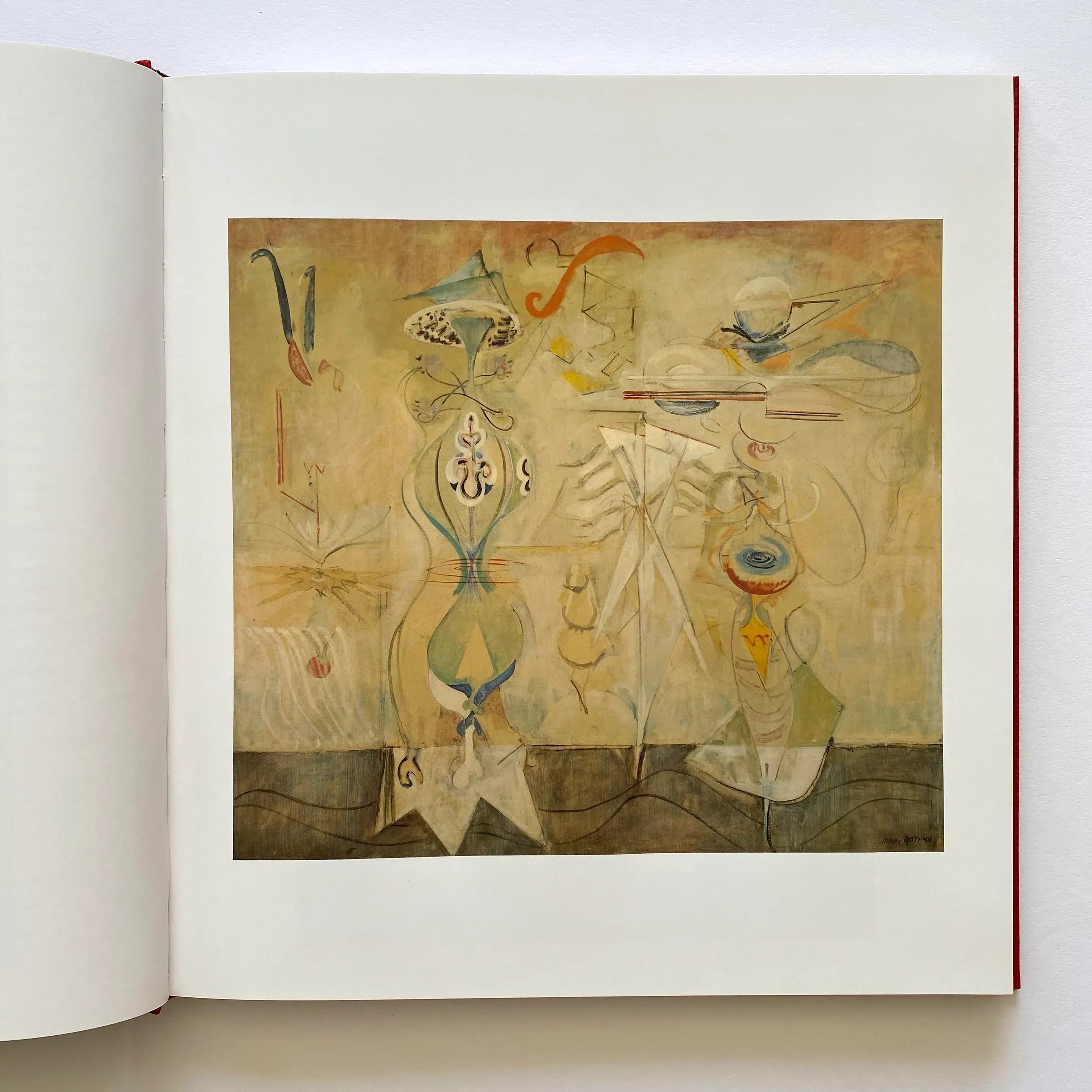 the Art of Mark Rothko : Into an Unknown World 