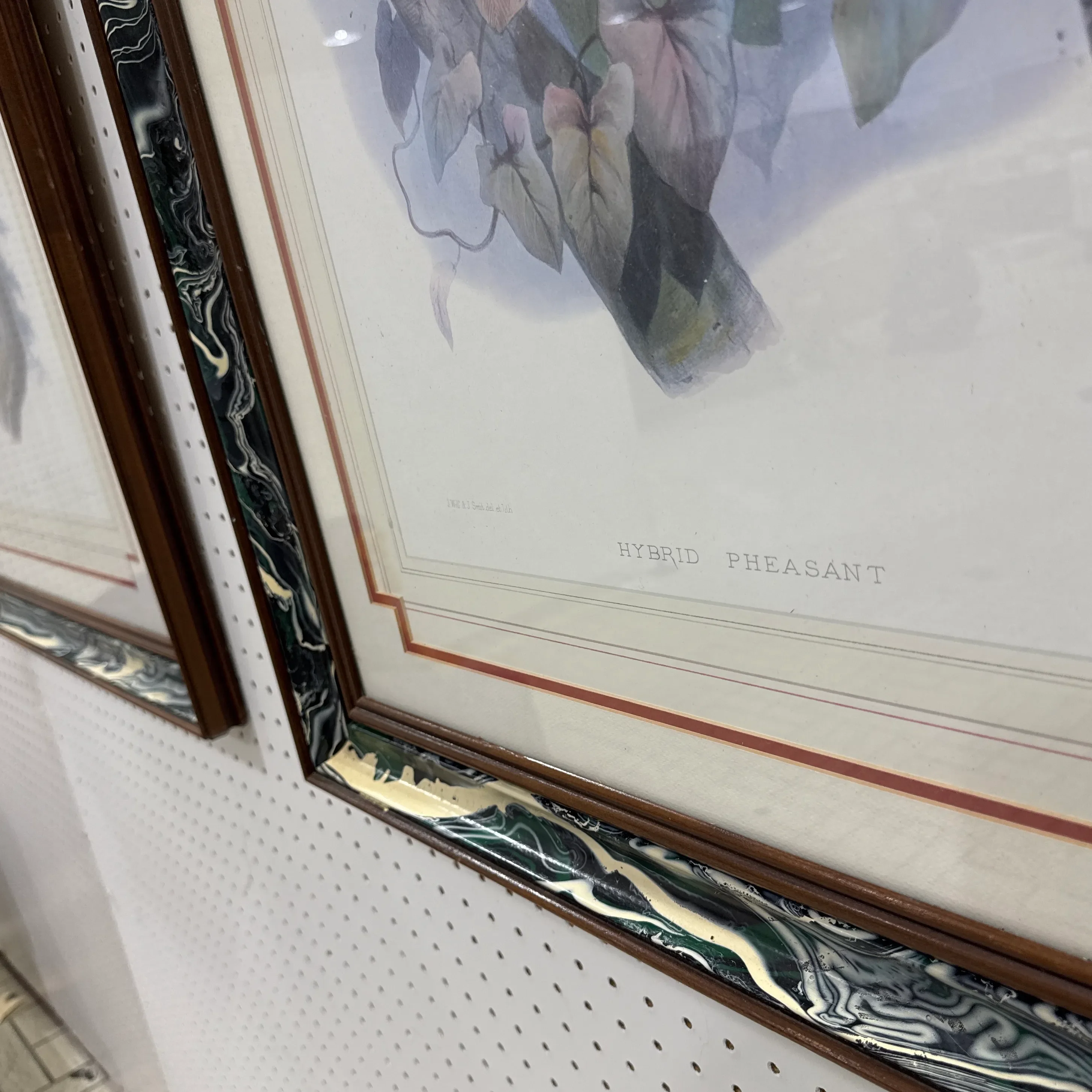Vintage Pheasant Prints in Custom Lacquered Frames ~ a Pair