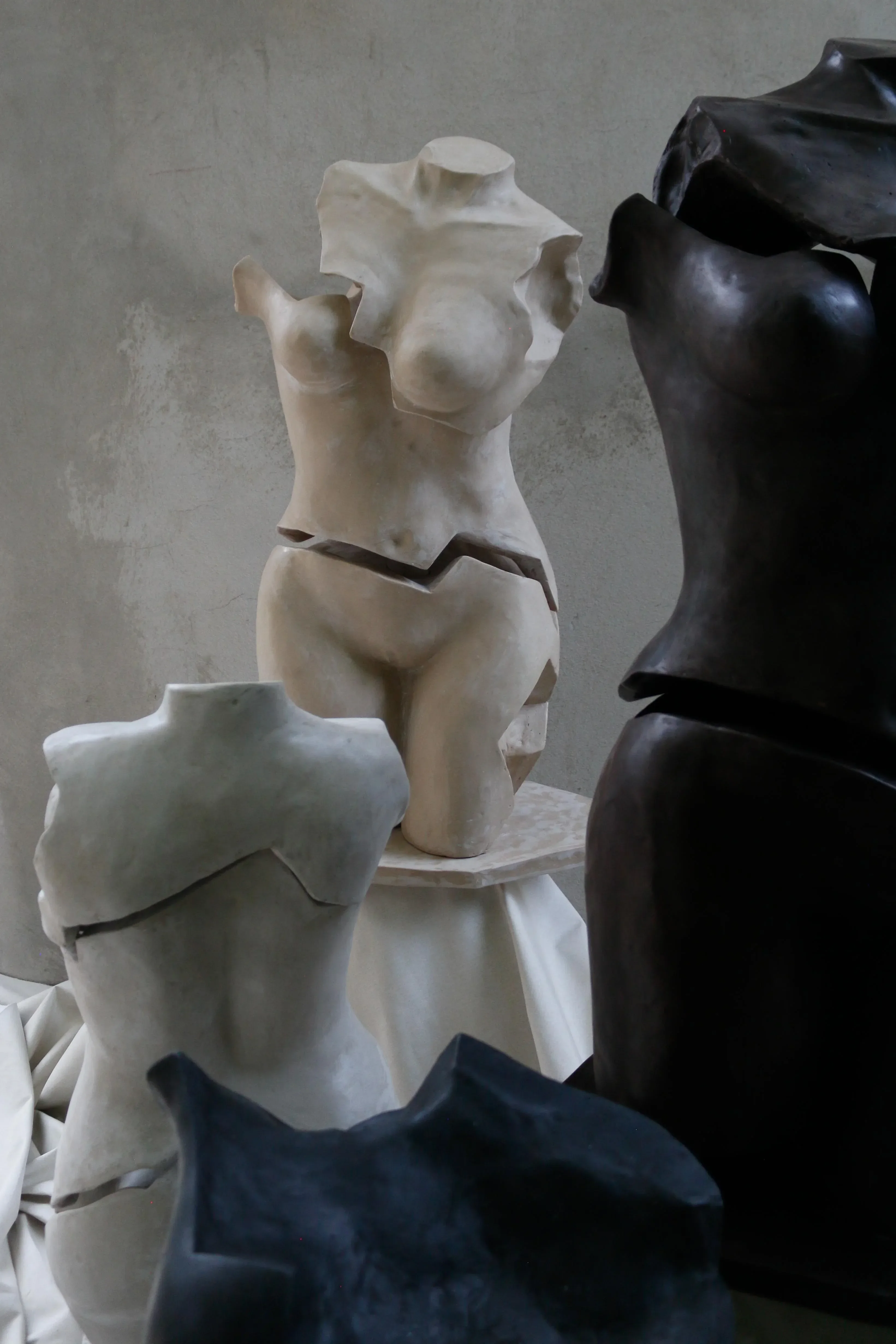 Male Bodies, Women's Souls: Personal Narratives of