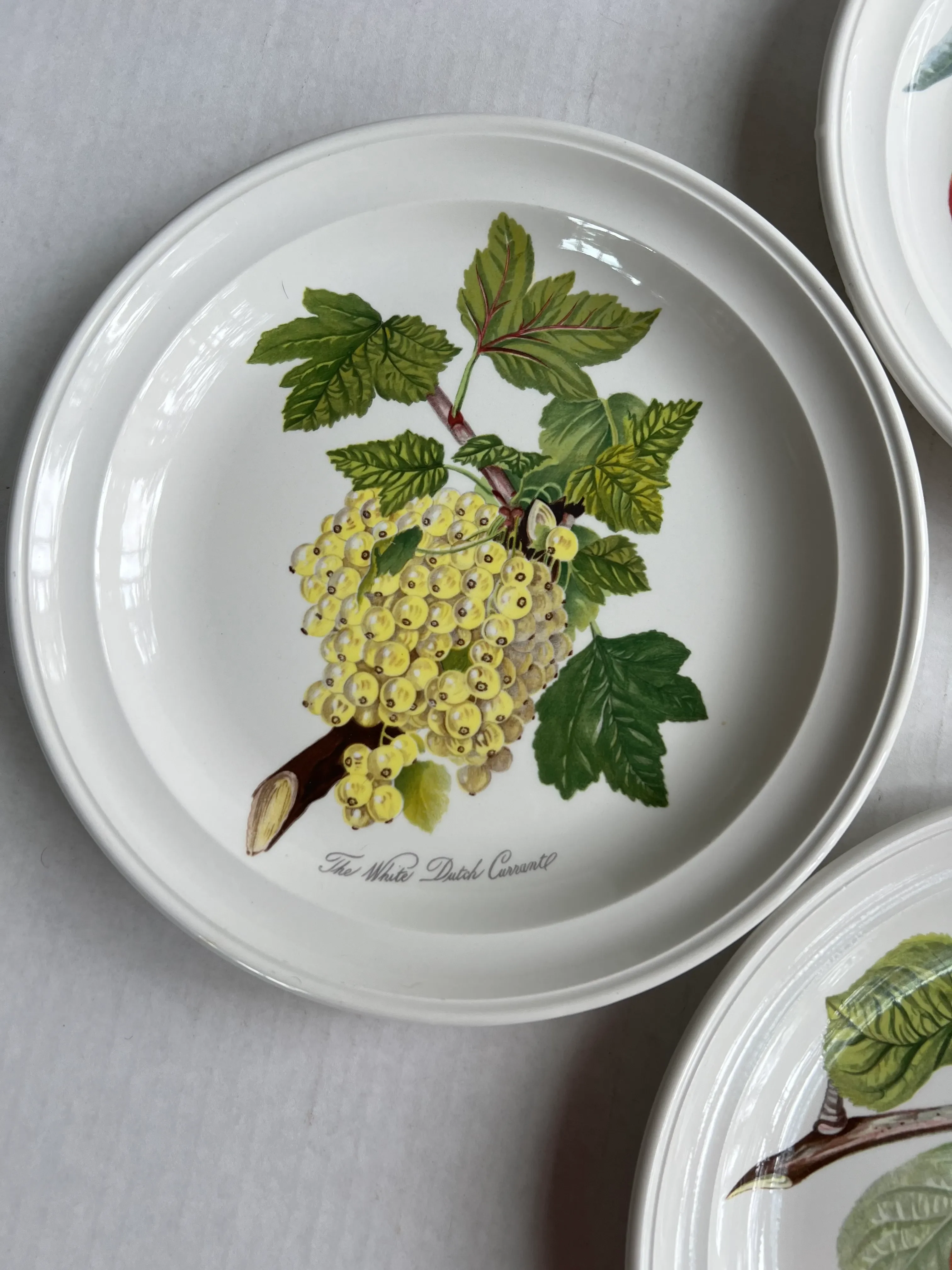 Portmeirion Pomona Salad Plates-4 | Chairish