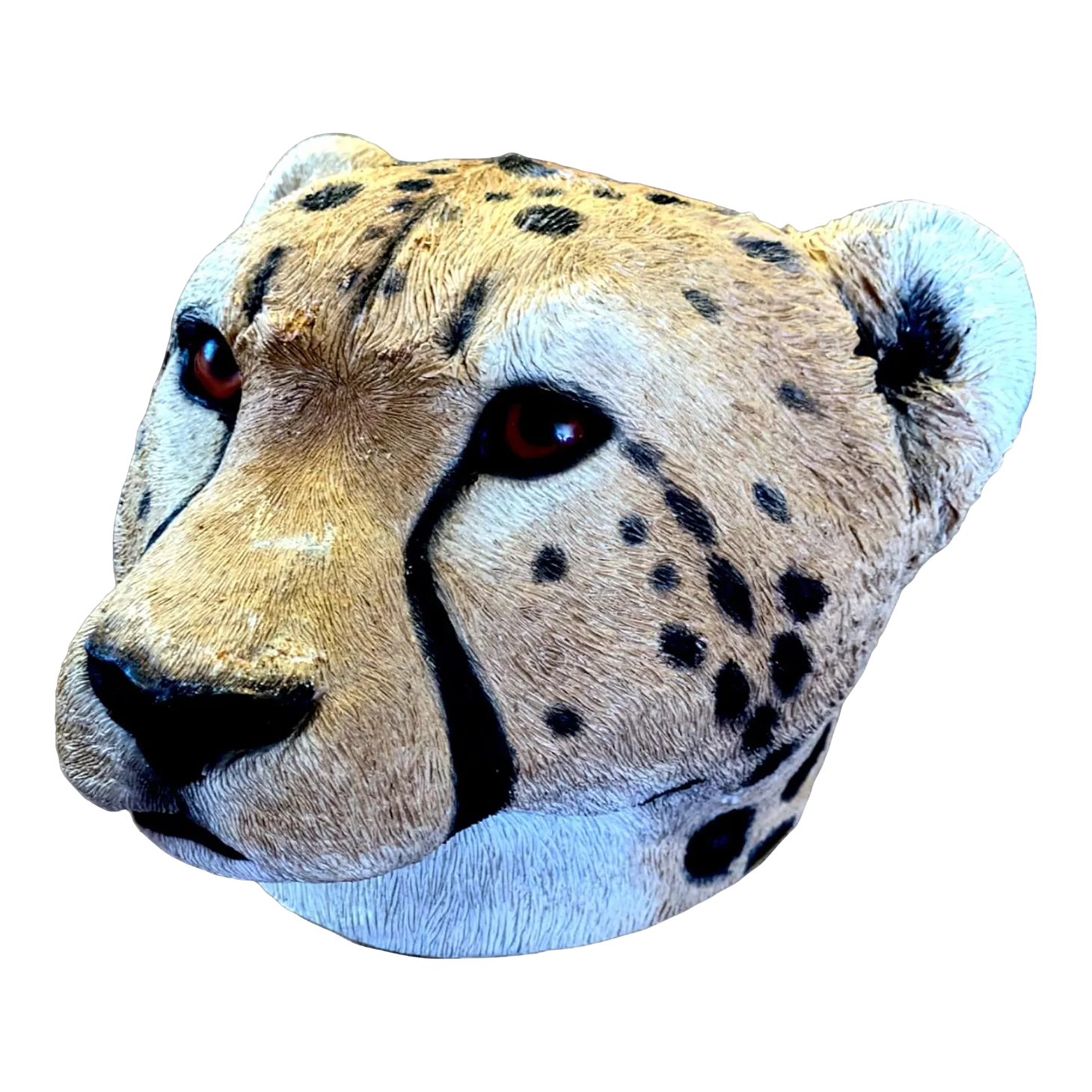 Mactaddyさん専用　Nut cheetah 159 BURTON Trying to gauge how much this would sell for: Burton Cheetah