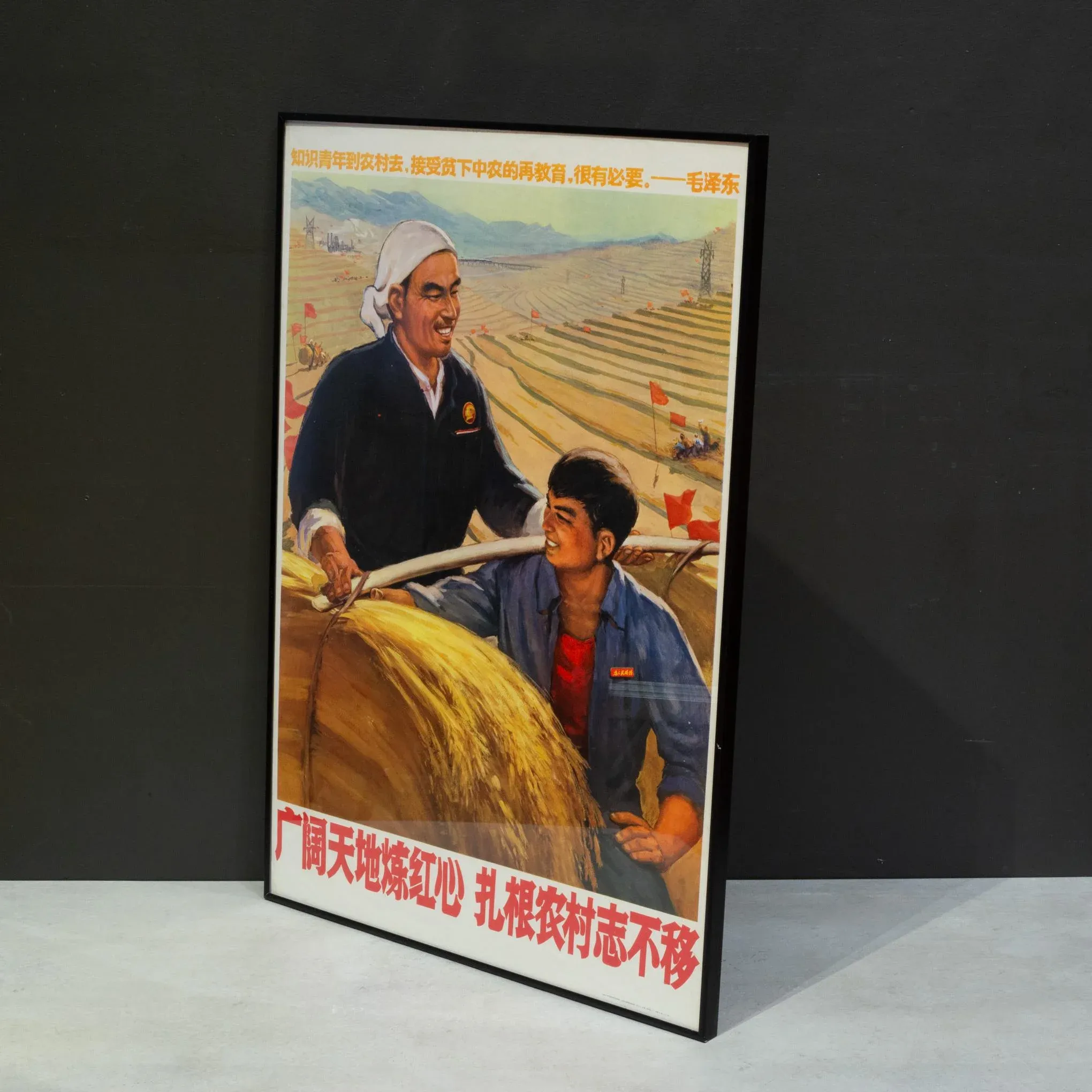 Original Vintage Chinese Propanda Poster, Determined to Take Roots in the Countryside, 1970