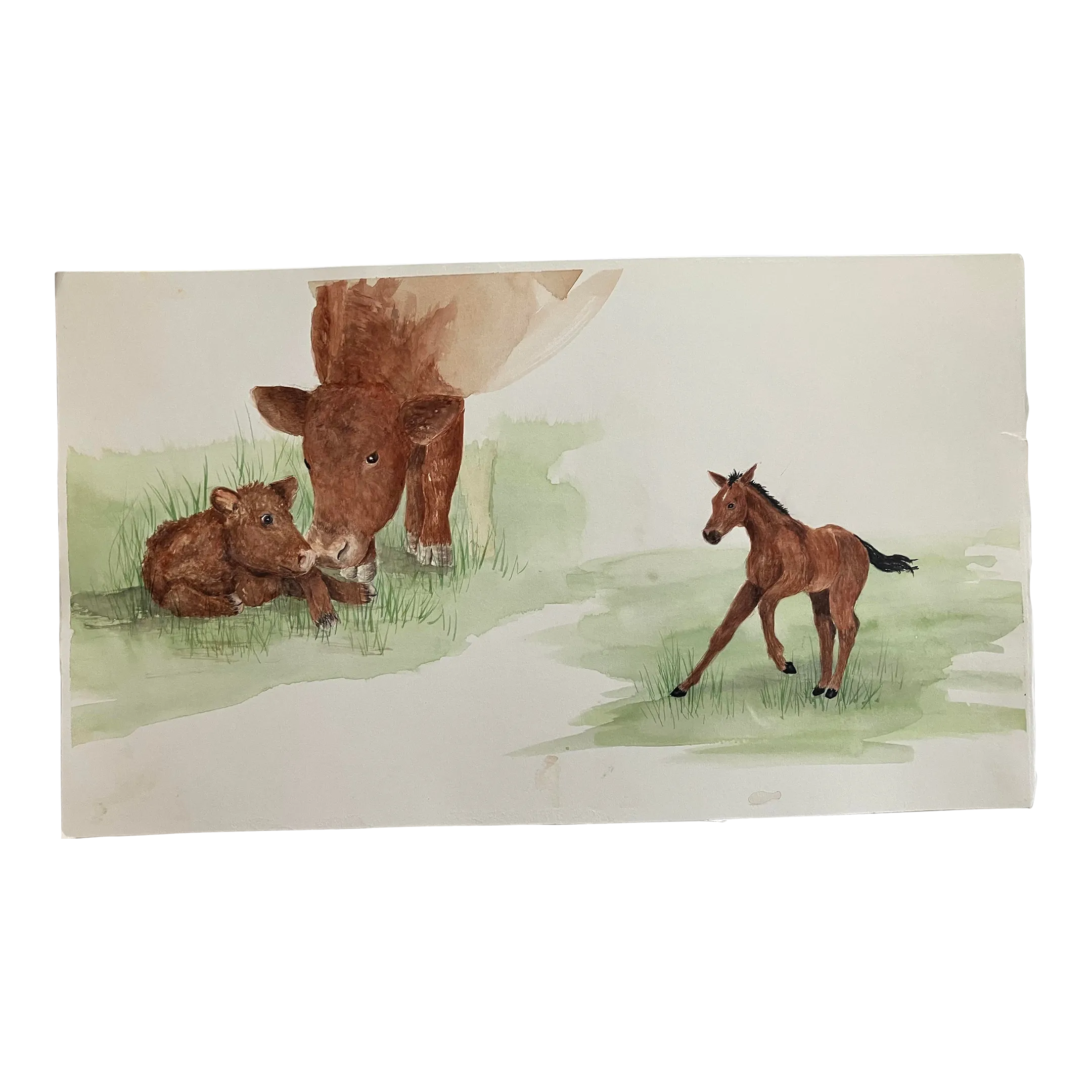 Cow, Calf, and Colt - Watercolor Book Illustration, 19x11