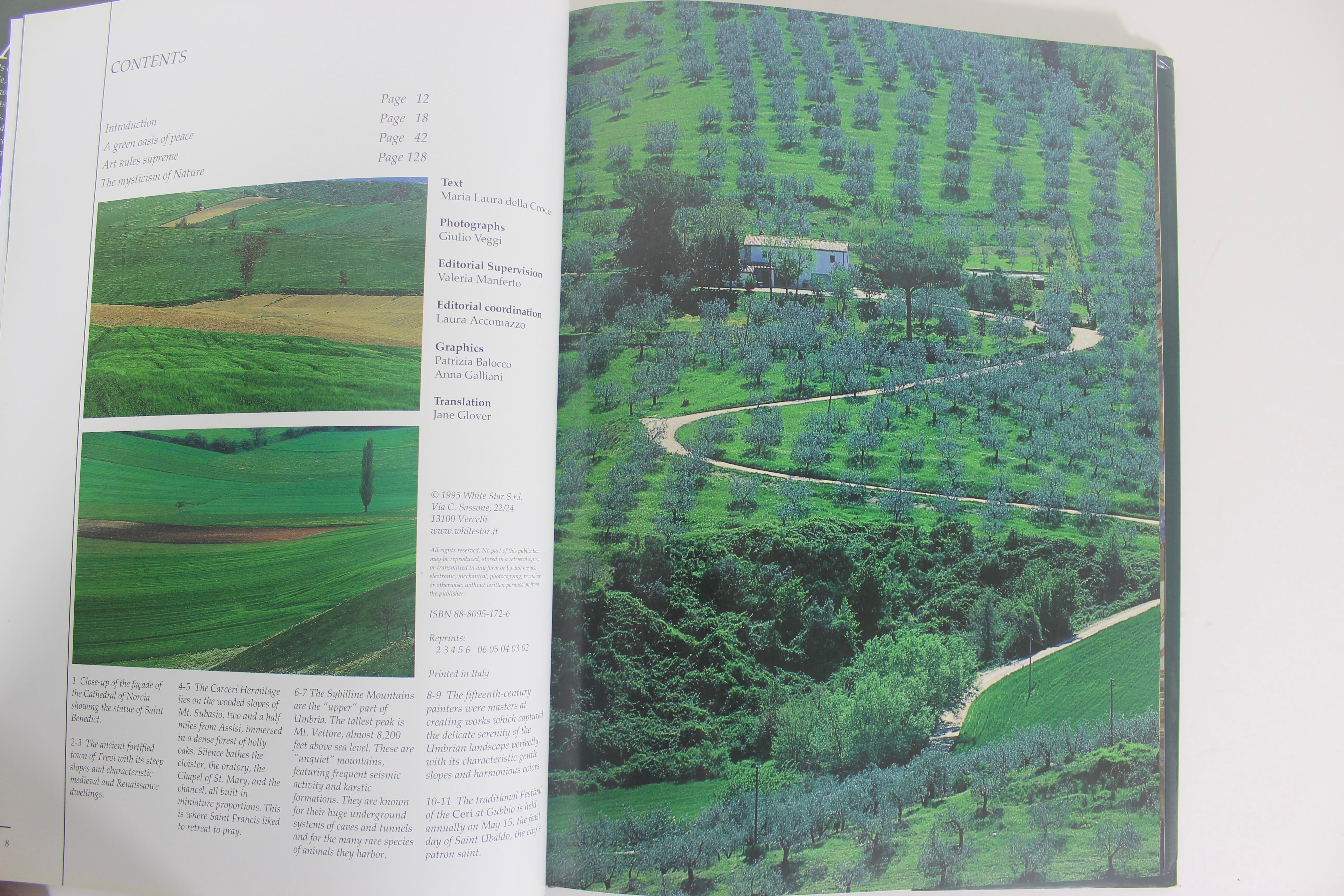 1995 Umbria Treading the Path of Art and Soul Green Linen Textured