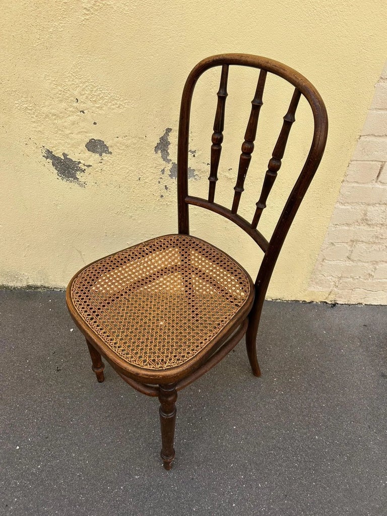 Fischel Bentwood and Cane Chair, 1890s