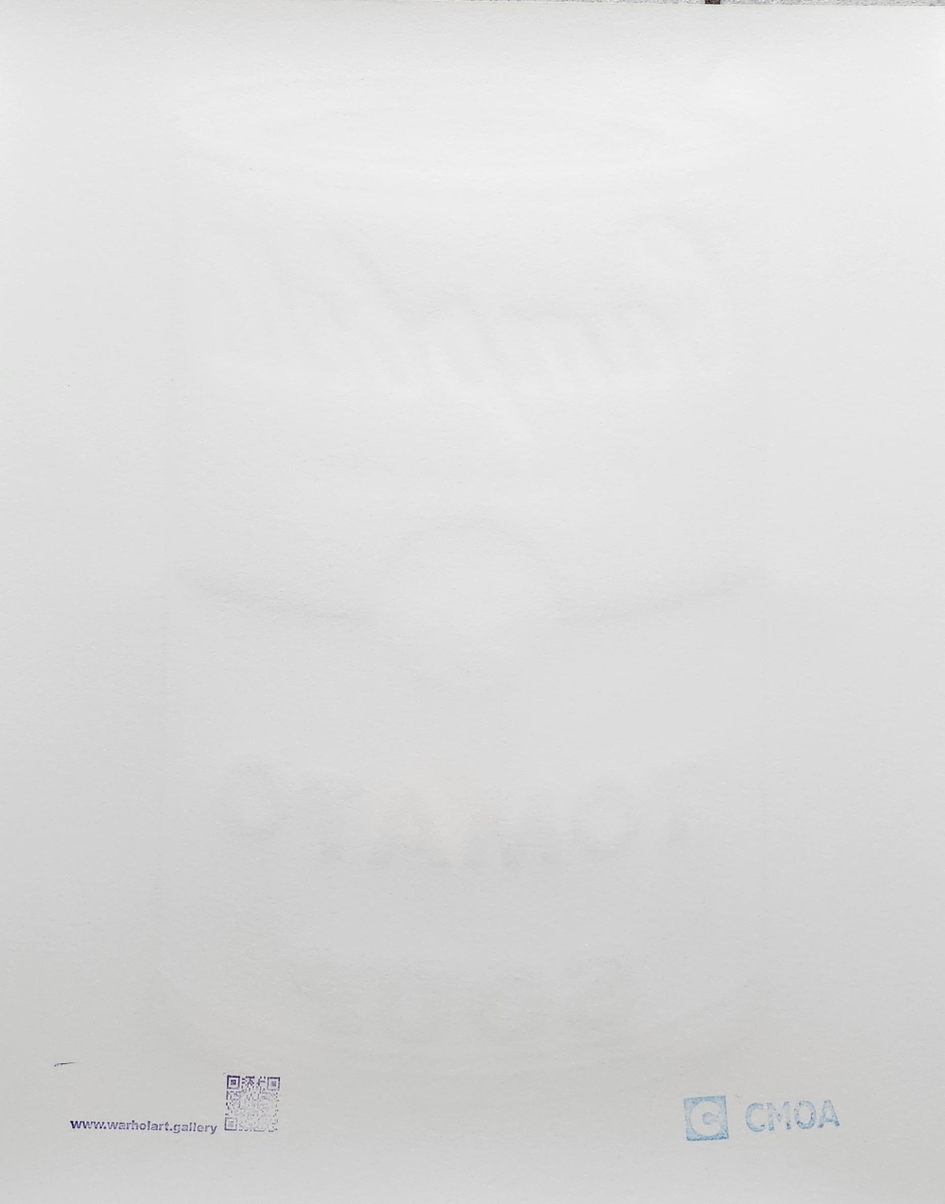 1986 Carnegie Museum of Art Andy Warhol Campbell\'s Soup Tomato 2714/3000 Lithograph Reproduction