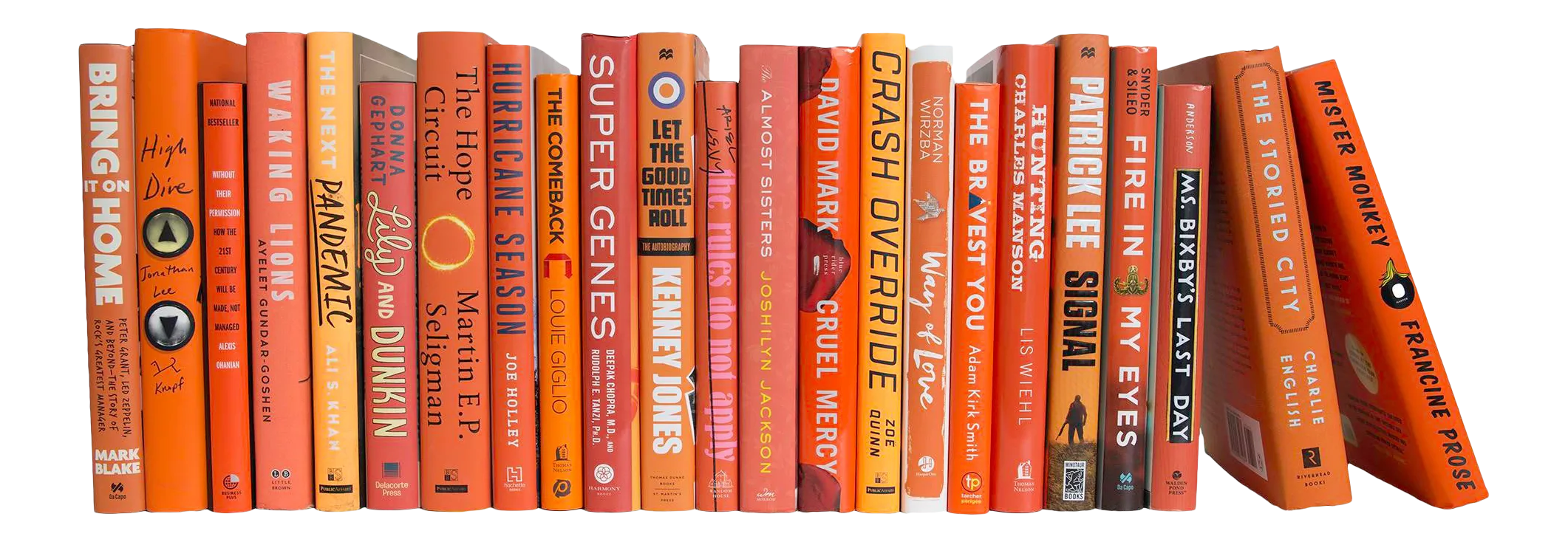 Modern Citrus Dust Jackets Color by the Foot Chairish