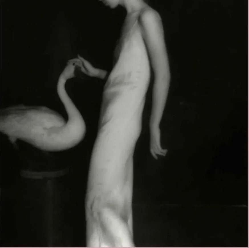 Francesca Woodman Untitled Poster Moderna Museet | Chairish