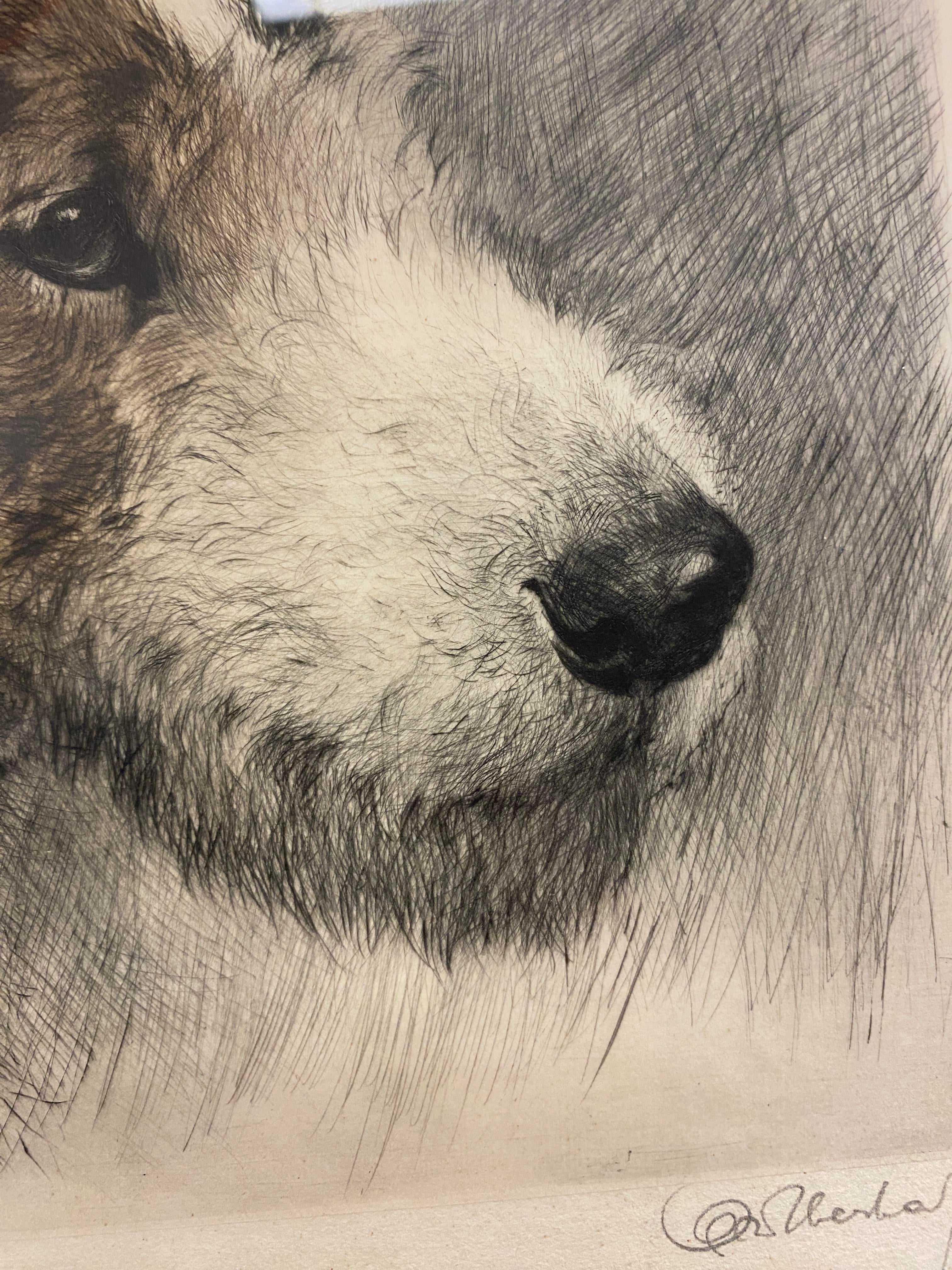 Early 20th Century Wire Fox Terrier Dog Original Signed Print by
