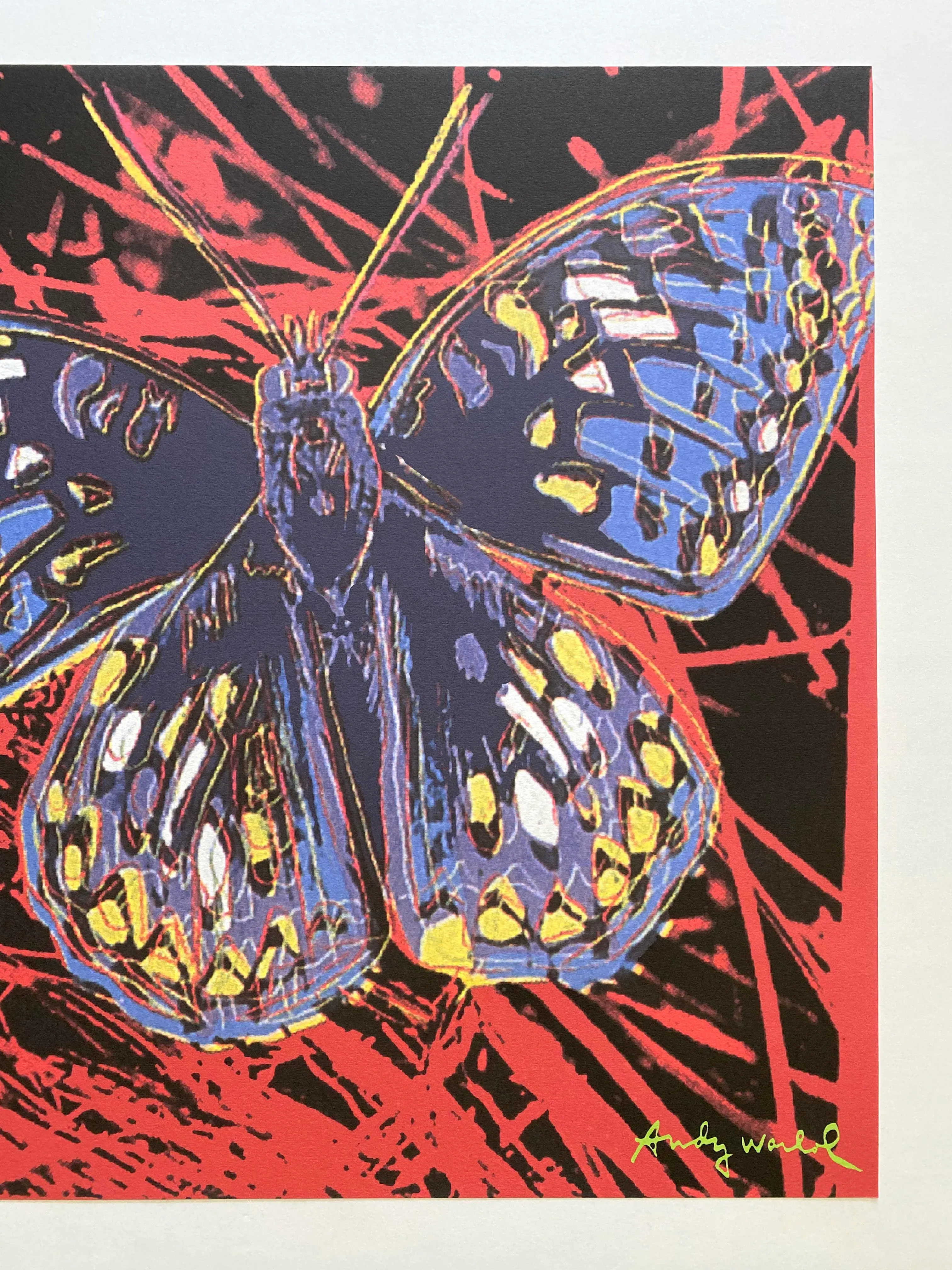 Andy Warhol Vintage 1986 Lmtd Edtn Endangered Species Large Fine