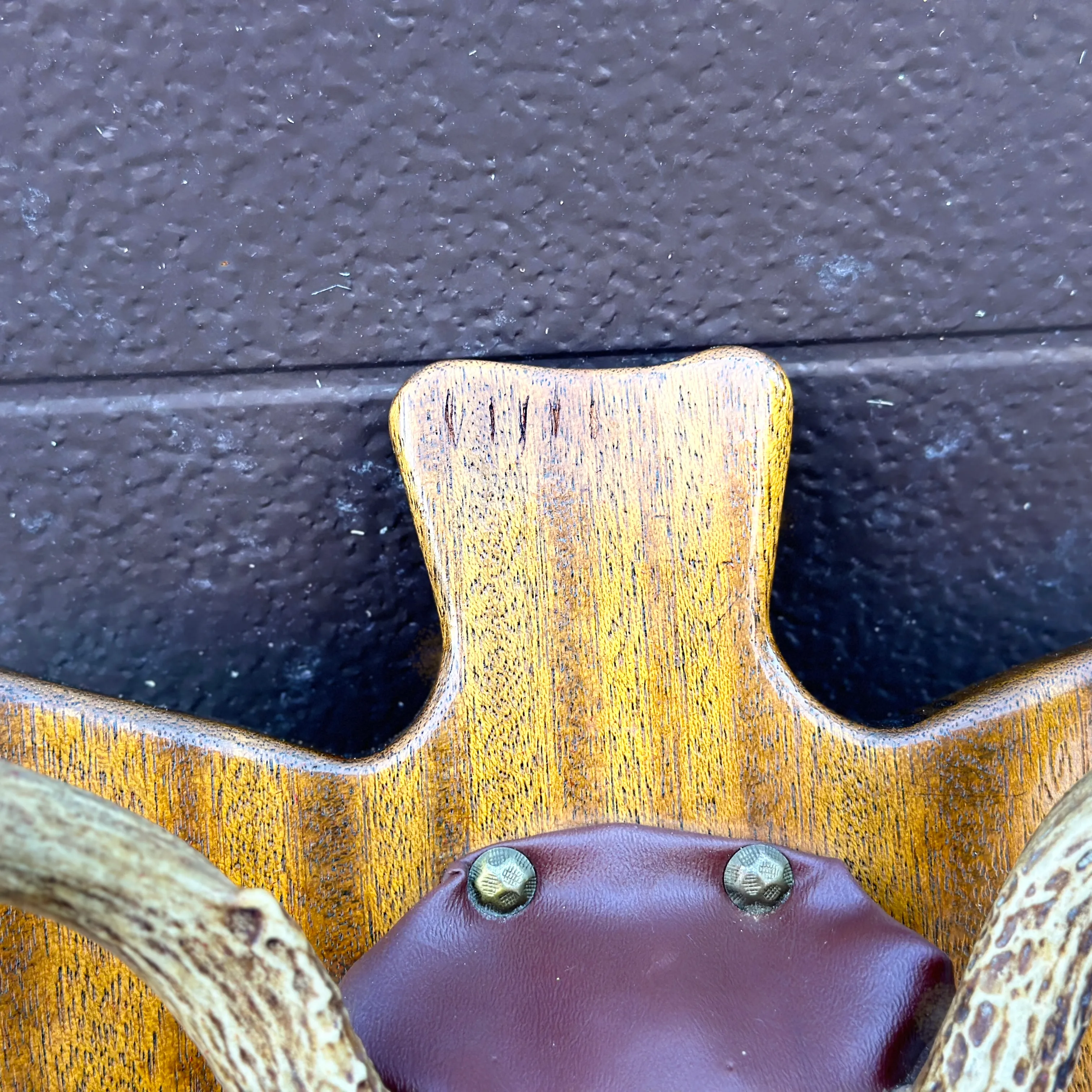 Vintage Deer Antlers Bowhunting Trophy Mounted on Arrow Shaped Carved Mahogany Wood1964 Citadel of Cairo Egypt Architectural Photograph