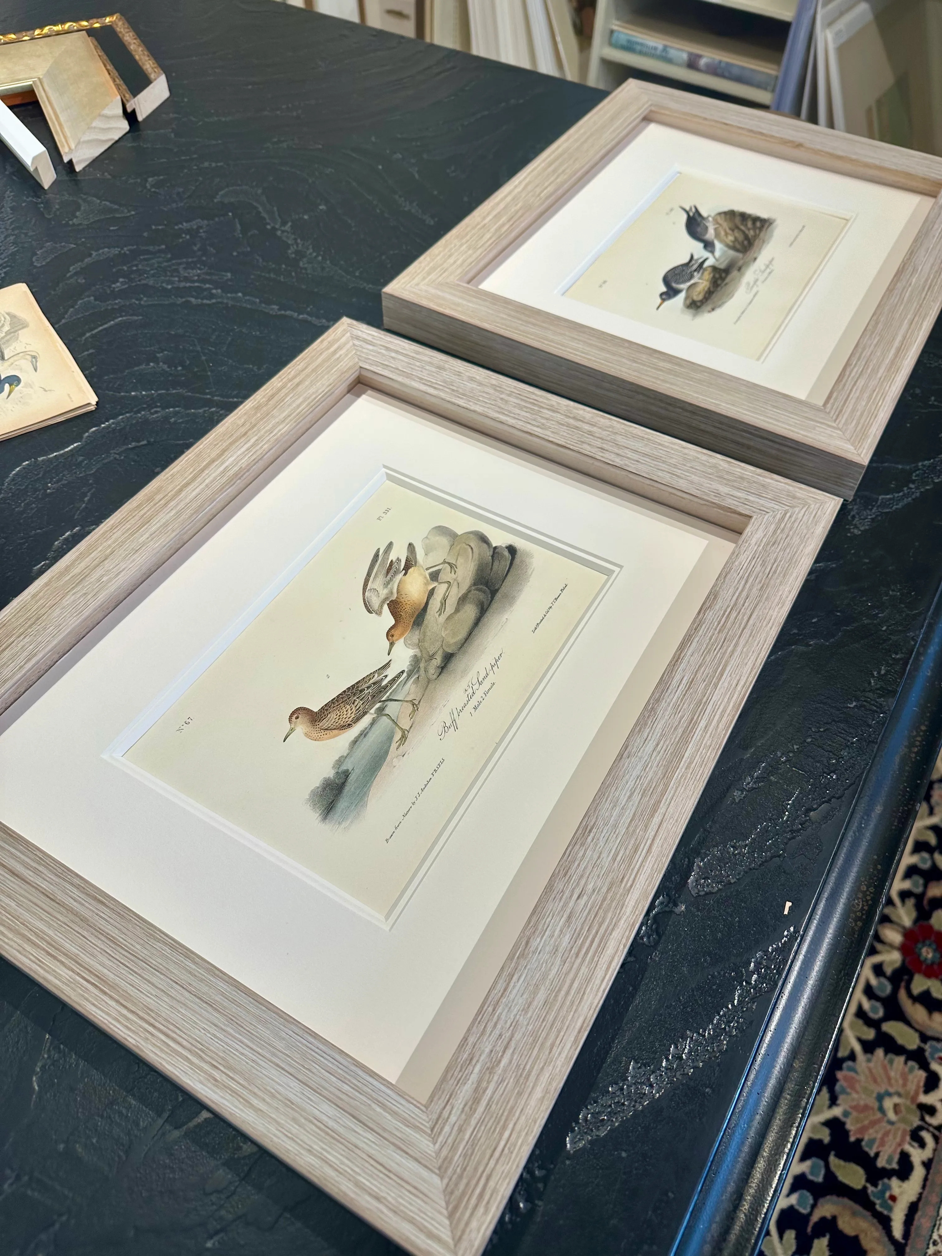 1840\'s Audubon Buff-Breasted & Purple Sandpipers, Framed Set of 2